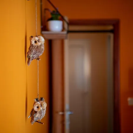 Orange 29 Appartement Rovinj