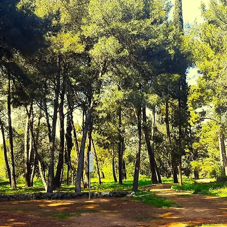 Orange 29 Διαμέρισμα Ρόβινι