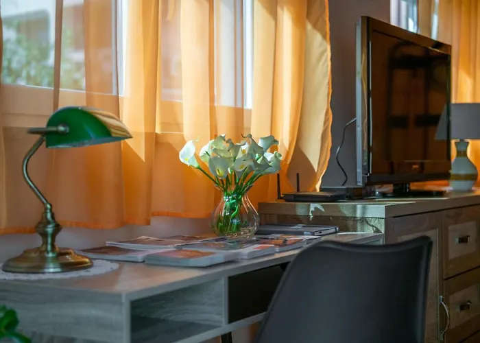 Orange 29 Ρόβινι