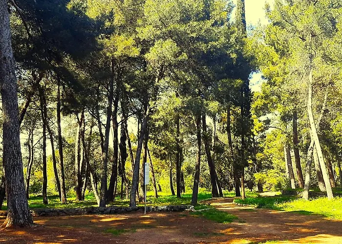 Orange 29 Διαμέρισμα Ρόβινι