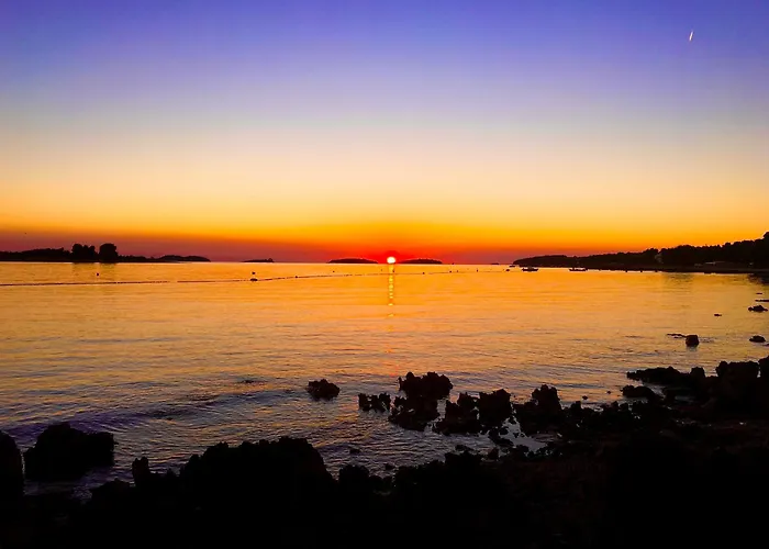 Orange 29 Ρόβινι