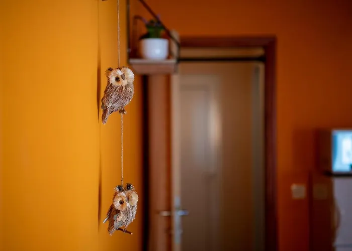 Orange 29 Apartmán Rovinj